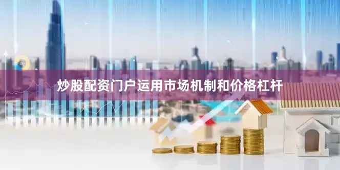 炒股配资门户运用市场机制和价格杠杆