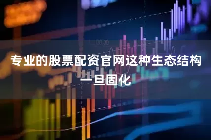 专业的股票配资官网这种生态结构一旦固化